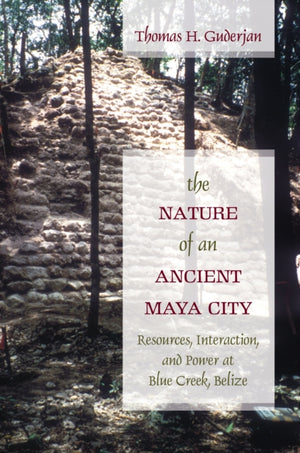 Nature of an Ancient Maya City