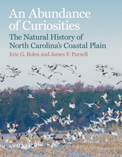 Book cover of: Abundance of Curiosities. By: Eric G. Bolen