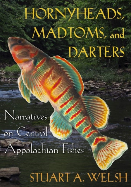 Book cover of: Hornyheads, Madtoms, and Darters. By: Stuart A. Welsh