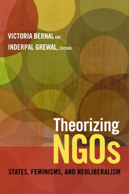 Book cover of: Theorizing NGOs