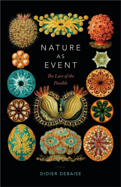 Book cover of: Nature As Event. By: Didier Debaise