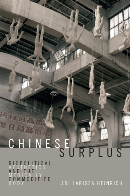 Book cover of: Chinese Surplus. By: Ari Larissa Heinrich