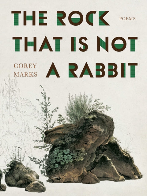 Book cover of: Rock That is Not a Rabbit. By: Corey Marks