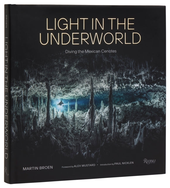 Book cover of: Light in the Underworld. By: Martin BROEN