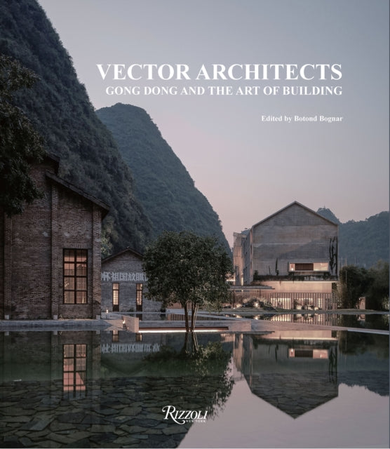 Book cover of: Vector Architects. By: Gong DONG