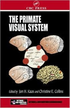 Primate Visual System