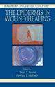 Book cover of: Epidermis in Wound Healing