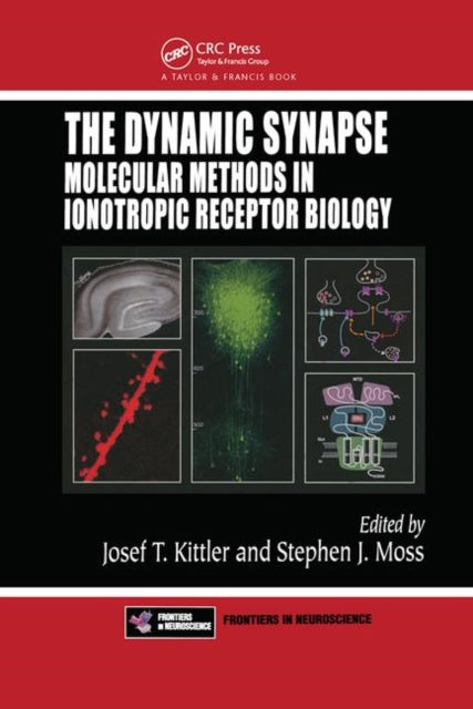 Book cover of: Dynamic Synapse