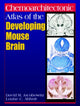 Book cover of: Chemoarchitectonic Atlas of the Developing Mouse Brain