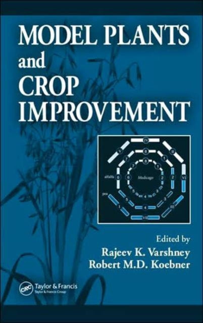 Book cover of: Model Plants and Crop Improvement