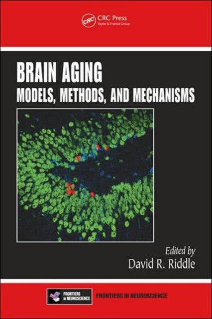 Book cover of: Brain Aging. By: David R. Riddle