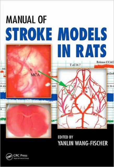 Book cover of: Manual of Stroke Models in Rats. By: Yanlin Wang-Fischer