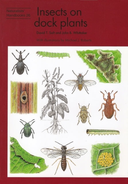 Book cover of: Insects on dock plants. By: David T. Salt