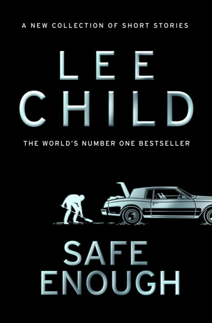 Book cover of: Safe Enough