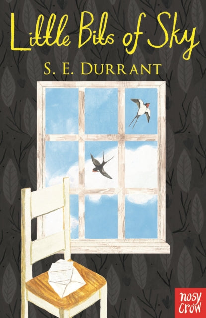 Book cover of: Little Bits of Sky. By: DURRANT, S E