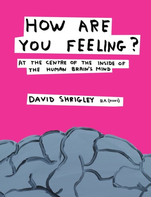 How Are You Feeling?, At the Centre of the Inside of The Human Brain’s Mind 9780857867216 David Shrigley