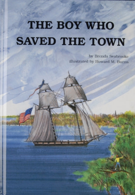 Book cover of: Boy Who Saved the Town