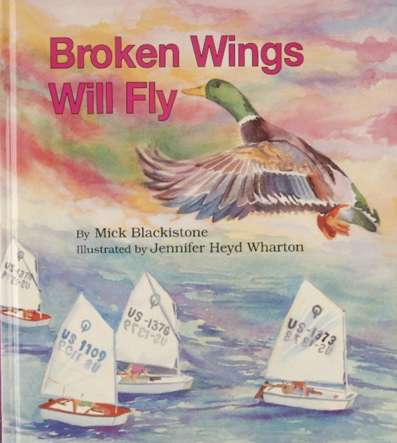 Book cover of: Broken Wings Will Fly