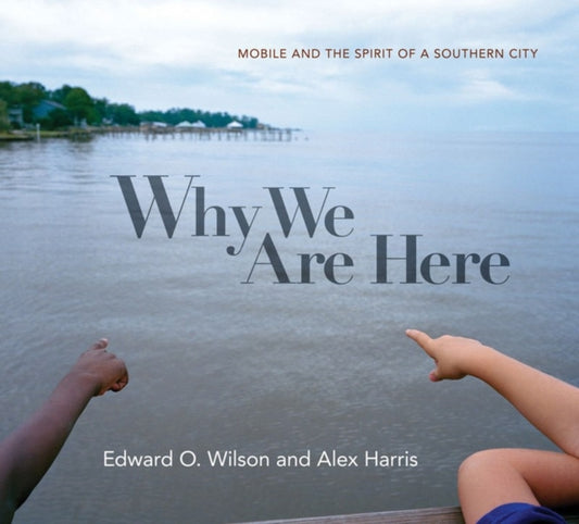 Book cover of: Why We Are Here. By: Edward Osborne Wilson