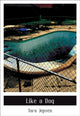 Book cover of: Like a Dog. By: Tara Jepsen