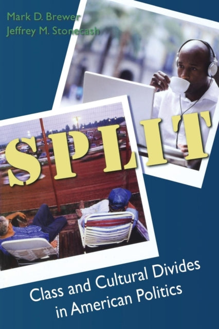Book cover of: Split. By: Mark D. Brewer