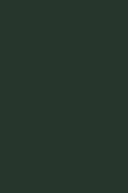 Book cover of: Spiritual Presence In Psychotherapy