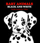 Book cover of: Baby Animals Black and White