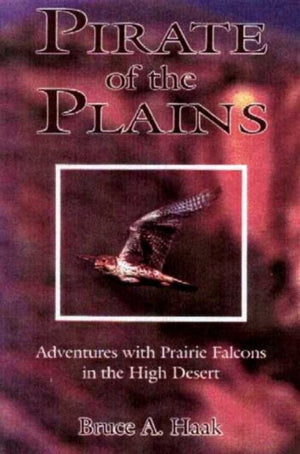 Pirate of the Plains