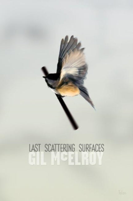 Book cover of: Last Scattering Surfaces. By: Gil McElroy