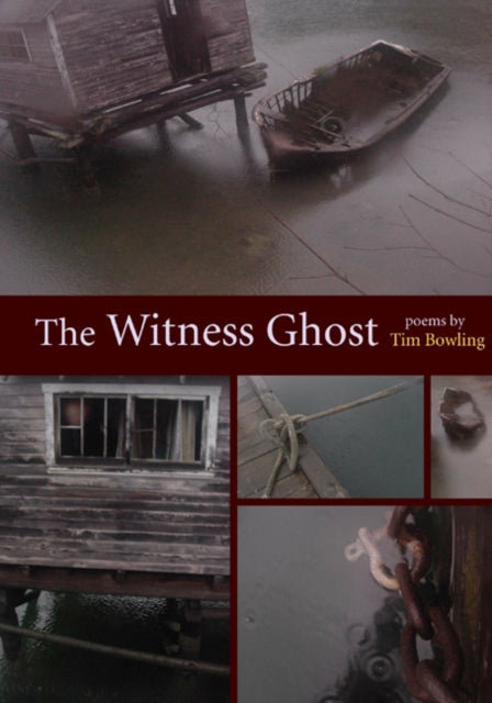 Book cover of: Witness Ghost