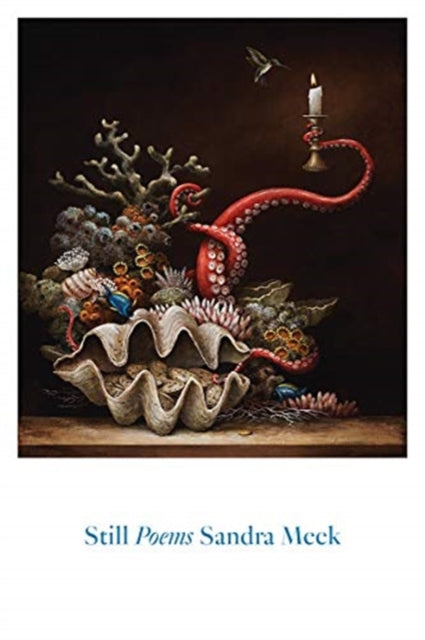 Book cover of: Still. By: Sandra Meek