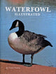 Book cover of: Waterfowl Illustrated