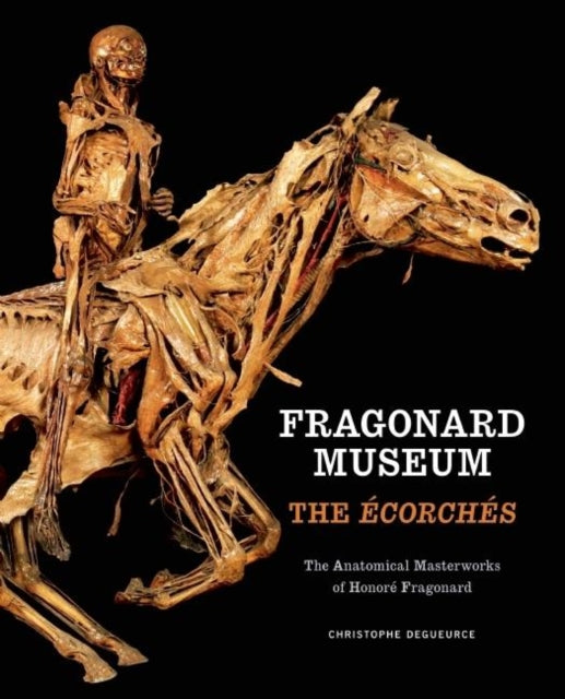 Book cover of: Fragonard Museum: The corches
