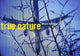 Book cover of: Willie Doherty – True Nature