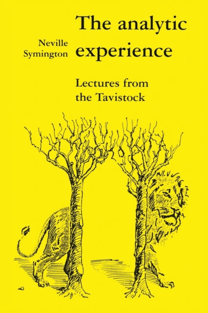 Book cover of: Analytic Experience. By: Neville Symington