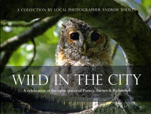 Wild in the City