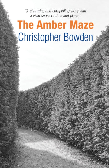 Book cover of: Amber Maze