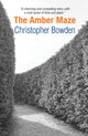 Book cover of: Amber Maze
