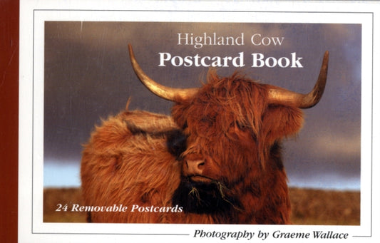 Book cover of: Highland Cow Postcard Book