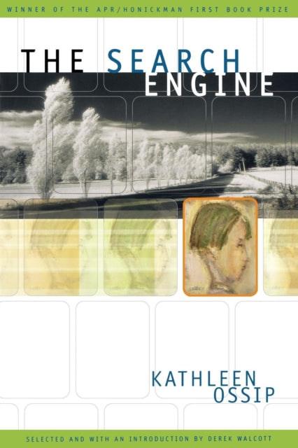 Book cover of: Search Engine