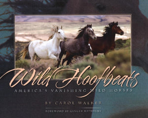 Wild Hoofbeats