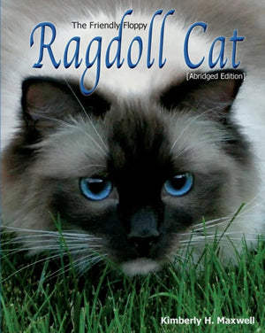 Friendly Floppy Ragdoll Cat