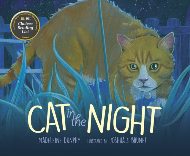 Book cover of: Cat in the Night. By: Madeleine Dunphy