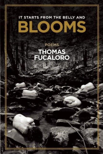 Book cover of: It Starts from the Belly and Blooms. By: Thomas Fucaloro