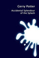 Book cover of: Accidental Splendour of the Splash