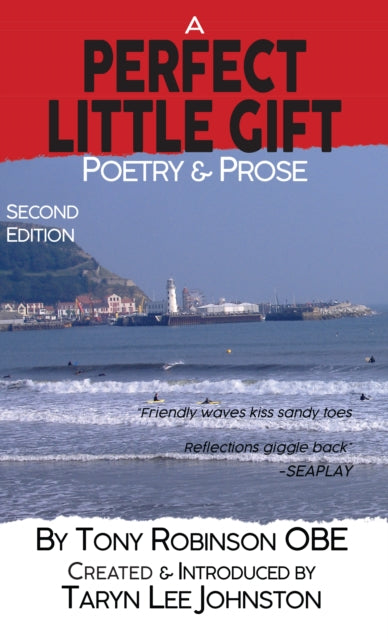 Book cover of: Perfect Little Gift