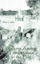 Book cover of: Walking Among Tombstones in the Fog. By: Alan Catlin