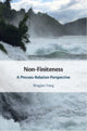 Book cover of: Non-Finiteness. By: Bingjun Yang
