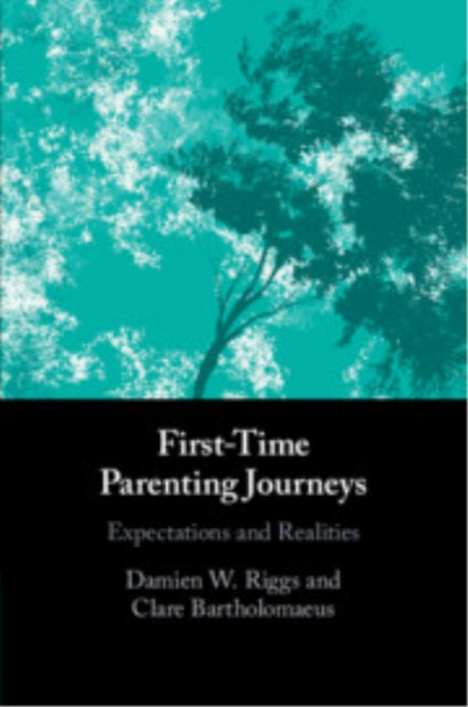 Book cover of: First-Time Parenting Journeys