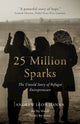 Book cover of: 25 Million Sparks. By: Andrew Leon Hanna